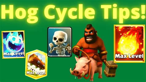*HOG CYCLE GUIDE!* .